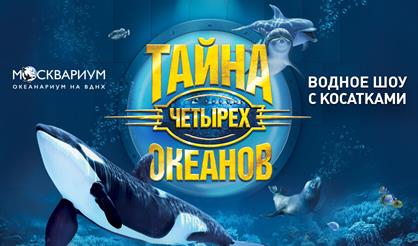 Тайна четырех океанов