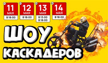 Шоу каскадеров Мастер Панин