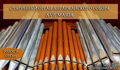 Старинный орган Англиканского собора. Ave Maria