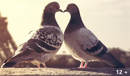 Все начинается с любви