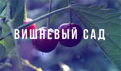 Вишневый сад