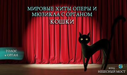 Мировые хиты оперы и мюзикла с органом. Кошки