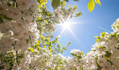 Праздничный пасхальный концерт