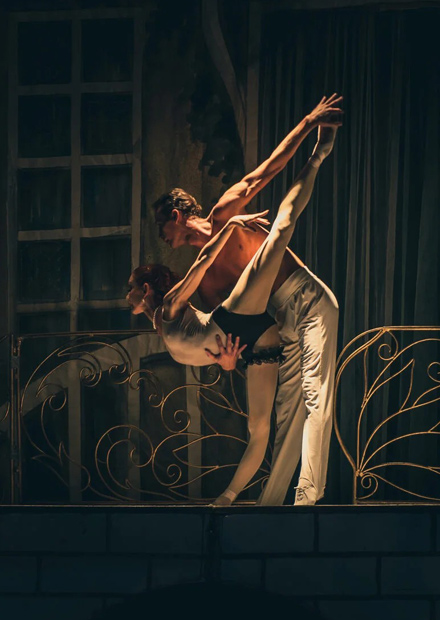 Дама с камелиями