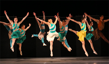 Зимняя роза