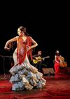 Flamenco Barocco Capriccios