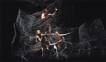 Имаго-ловушка