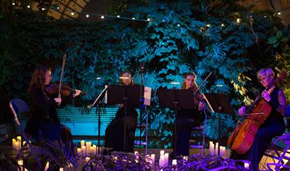 Ханс Циммер при свечах. Квинтет Еspressivo