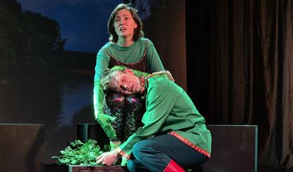 Царевна-лягушка