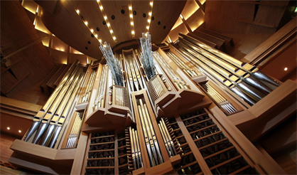 Людмила Голуб (орган)