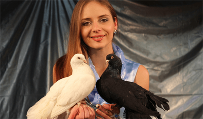 Шоу птиц