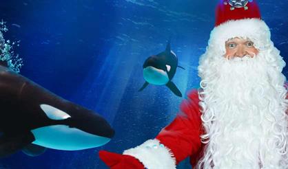 Вокруг света за Новый год