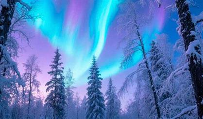 А. Вивальди, А. Пьяццолла. Времена года. Орган, скрипка, оркестр