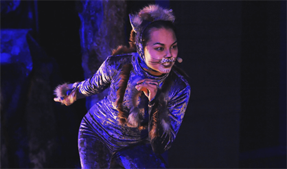 Кошка, которая гуляла сама по себе