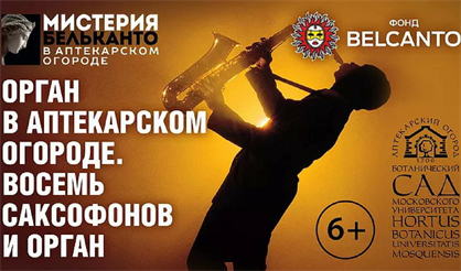 Орган в Аптекарском огороде. Восемь саксофонов и орган