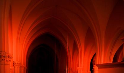 IV Международный конкурс-фестиваль гитаристов «Время гитары». Гитара, скрипка, орган, оркестр