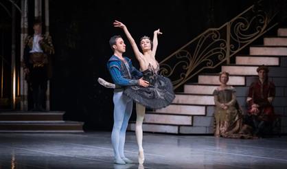 Лебединое озеро