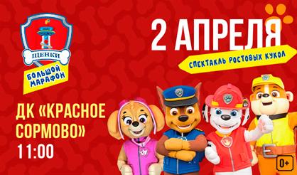 Щенки. Большой Марафон