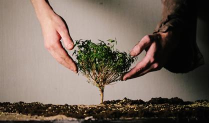 Священный талисман