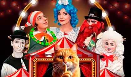 Кошки против Барабаса