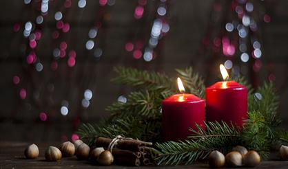 Гарри Поттер и органный мир фэнтези. "Властелин колец" и "Хроники Нарнии". Закрытие Рождественского фестиваля органной музыки