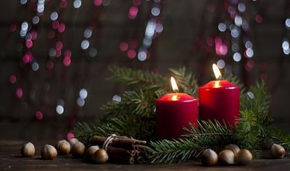 Рождественский фестиваль органной музыки. Феерия новогодней классики