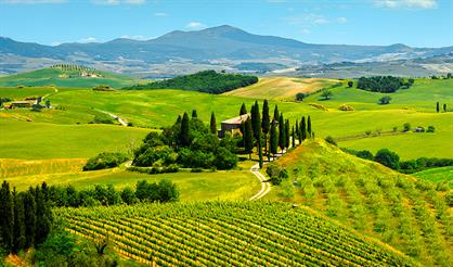 Мероприятие с дегустацией "Островная Италия"